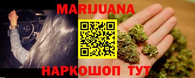 сатива Краснознаменск